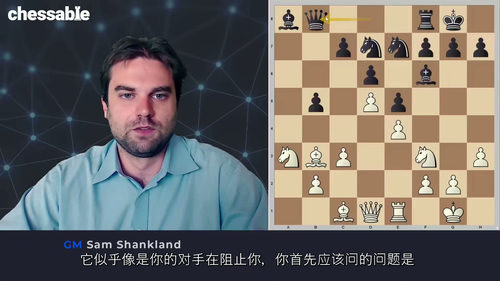 尚克兰德国际象棋计算训练教程 (中文字幕英文视频教程)