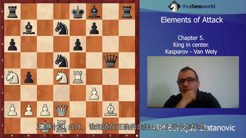 进攻的艺术：与国际大师博罗柳布・兹拉坦诺维奇共探棋道 (中文