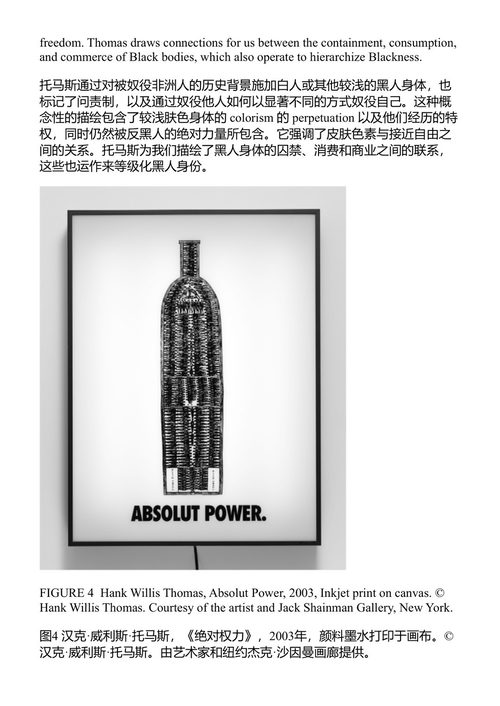 走红:无法控制的黑人表演 加布里埃尔·A·颇普尔斯 (中英对照电子书)