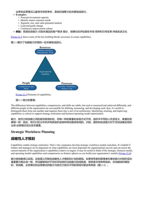 适应制胜：利用OKRs和精益投资组合管理克服战略衰减 埃文·C·坎贝尔 (中英对照电子书)
