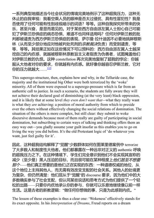 醒得太晚？齐泽克的时代诊断与激进思考