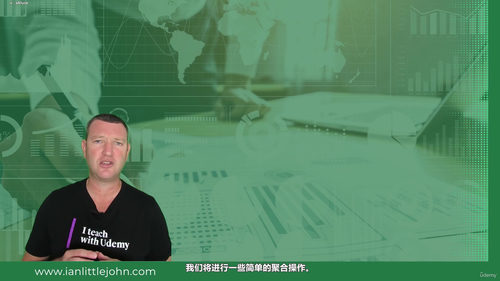 Excel数据透视表完全指南 (英文课程中文字幕)