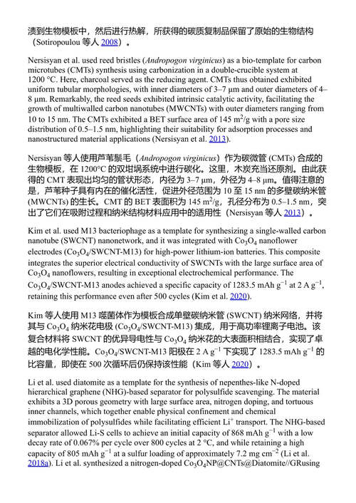 可持续与天然聚合物:清洁能源创新 (中英对照电子书)