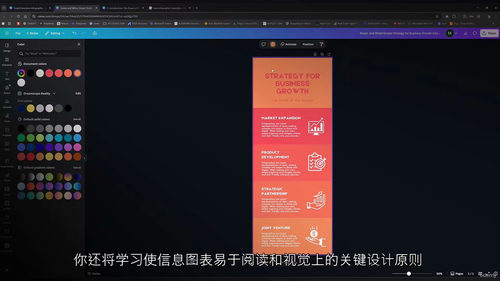 Canva信息图表设计教程 (中文字英文视频教程)