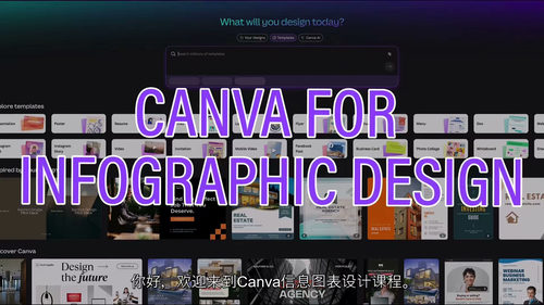 Canva信息图表设计教程 (中文字英文视频教程)