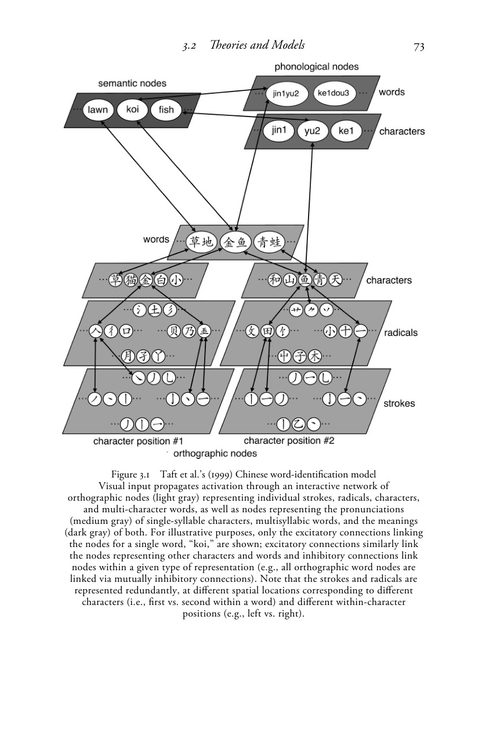 阅读心理学:来自中文的洞见 埃里克·D·赖希勒与余丽丽 (英文电子书)
