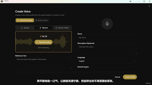 本地AI安装指南:聊天、图像、视频与语音克隆 (英文课程中文字幕)