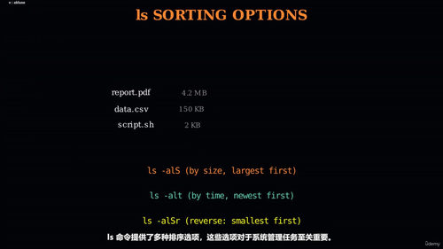 Linux精通之路:从命令行基础到LPIC-1认证备考指南 (英文课程中文字幕)
