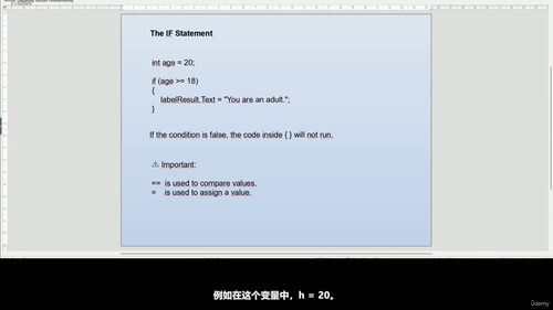 C#零基础入门:从小白到完成第一个项目 (英文课程中文字幕)